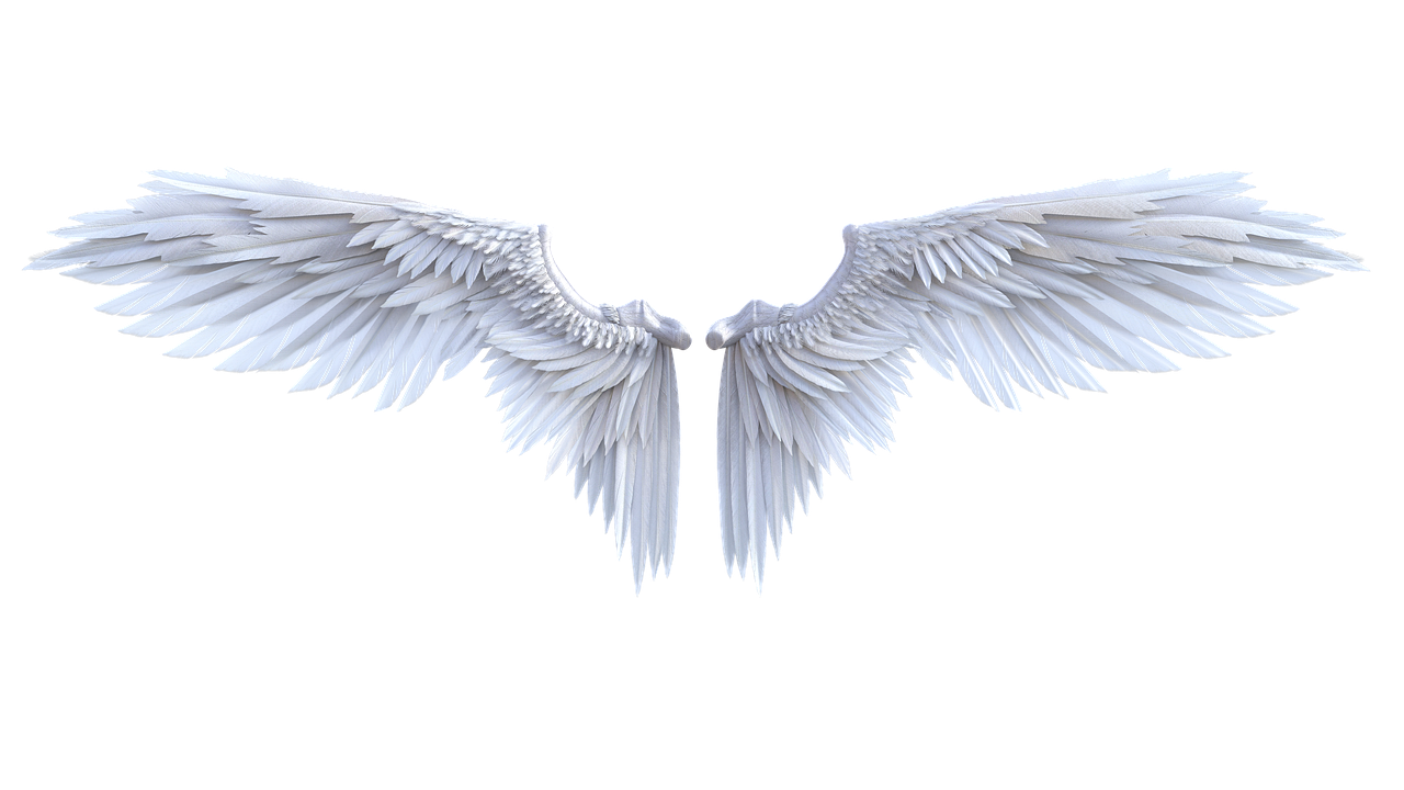 angel, wings, fairy-4870052.jpg
