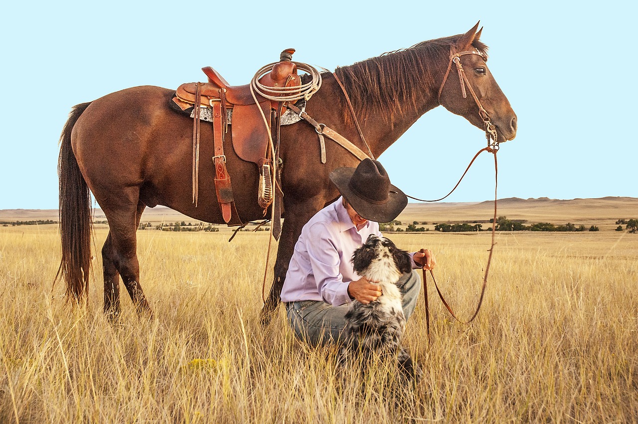 cowboy, horse, dog-1130695.jpg