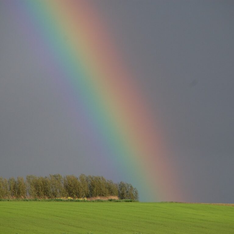 rainbow, nature, horizon-110953.jpg