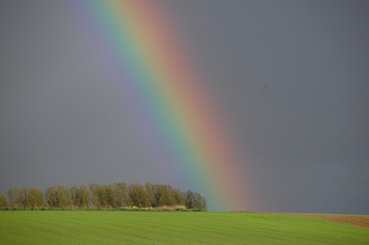 rainbow, nature, horizon-110953.jpg