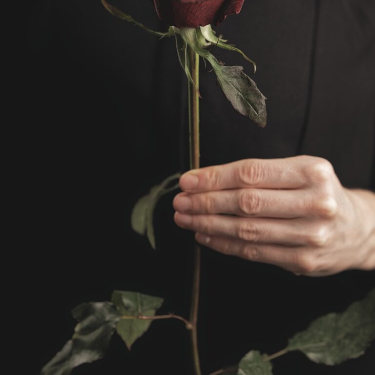 rose, flower, valentine's day-5951728.jpg